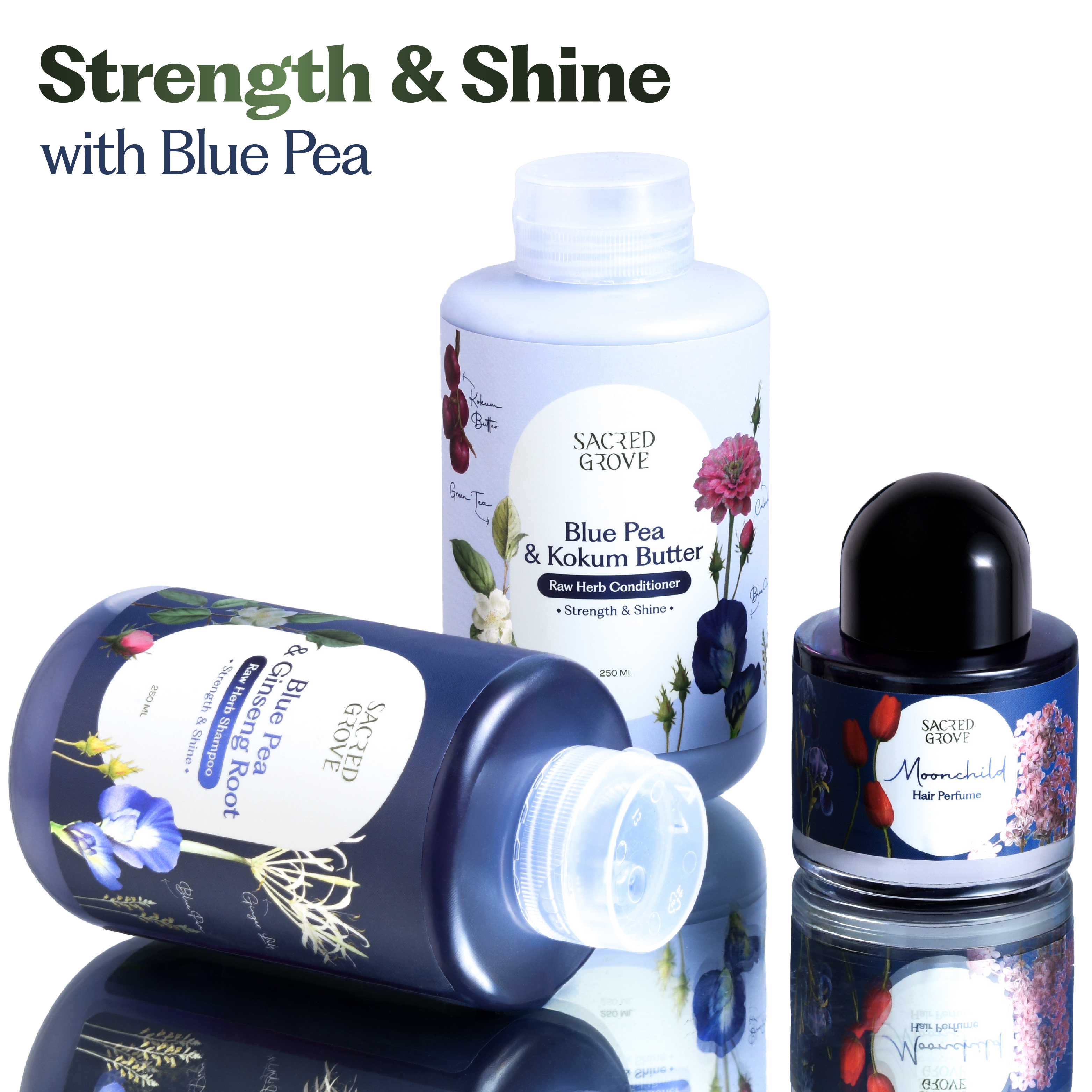 Blue Pea Strength & Shine Trio