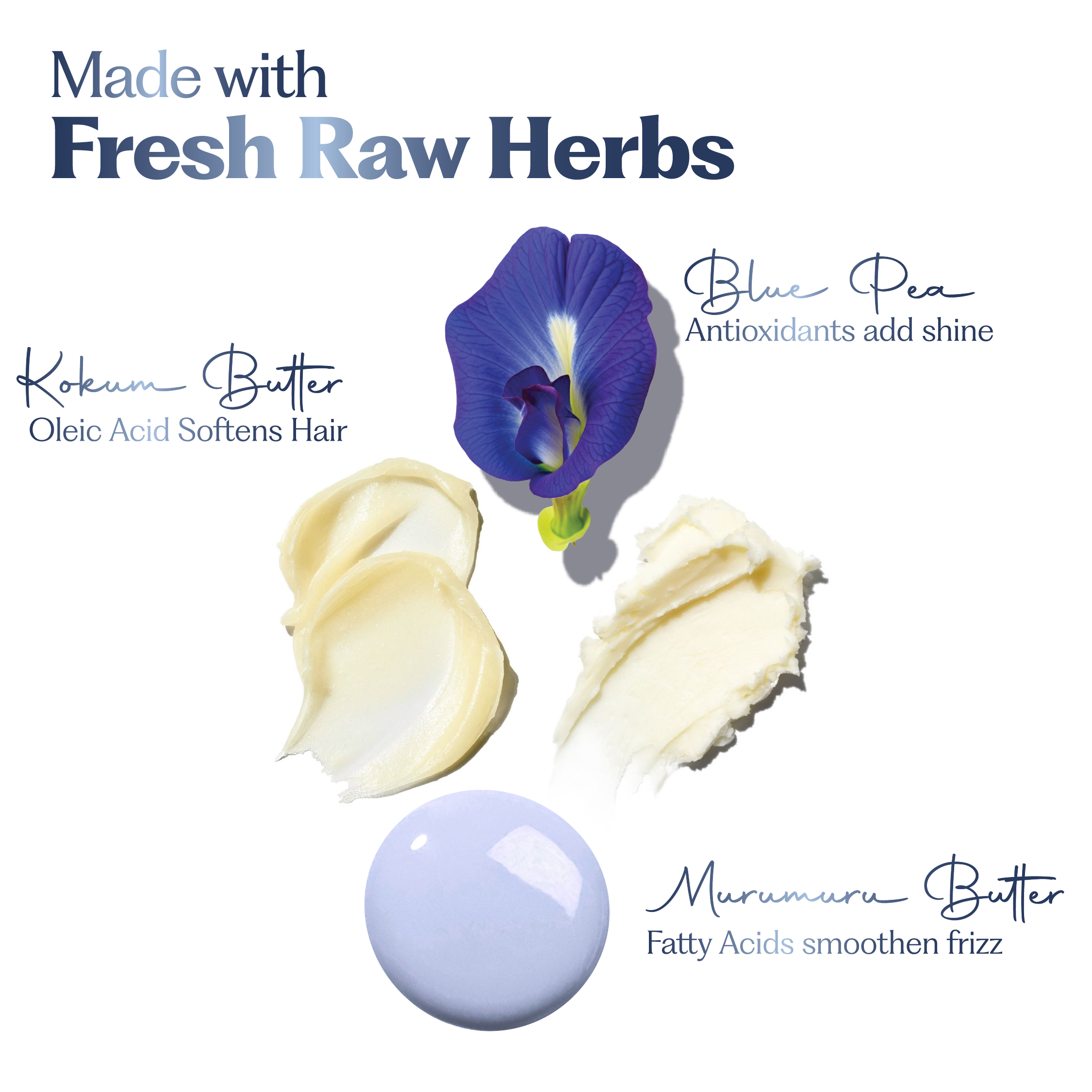 Blue Pea Shine Conditioner