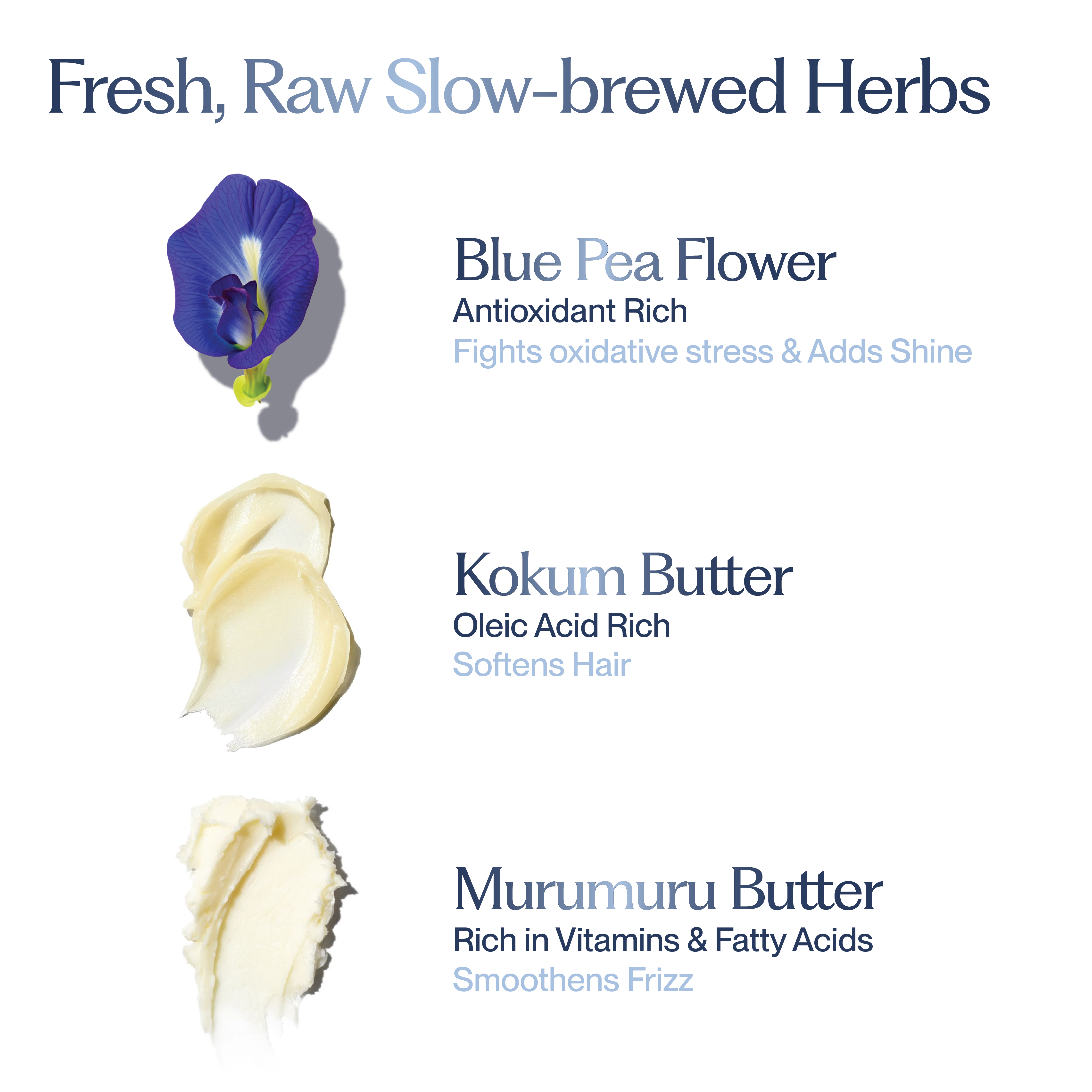 Blue Pea & Kokum Butter Weightless Shine Conditioner