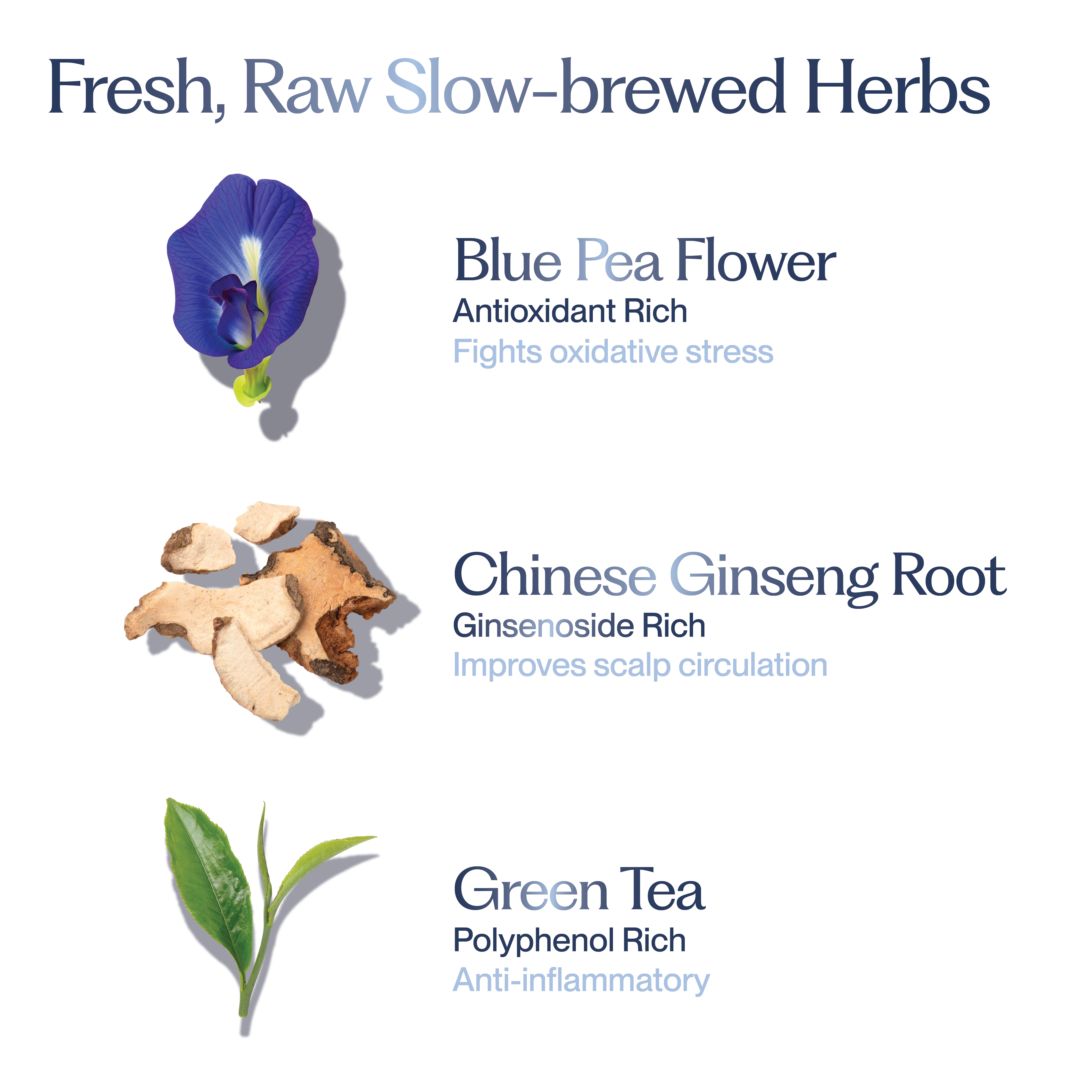 Blue Pea & Ginseng Root Strengthening Shampoo