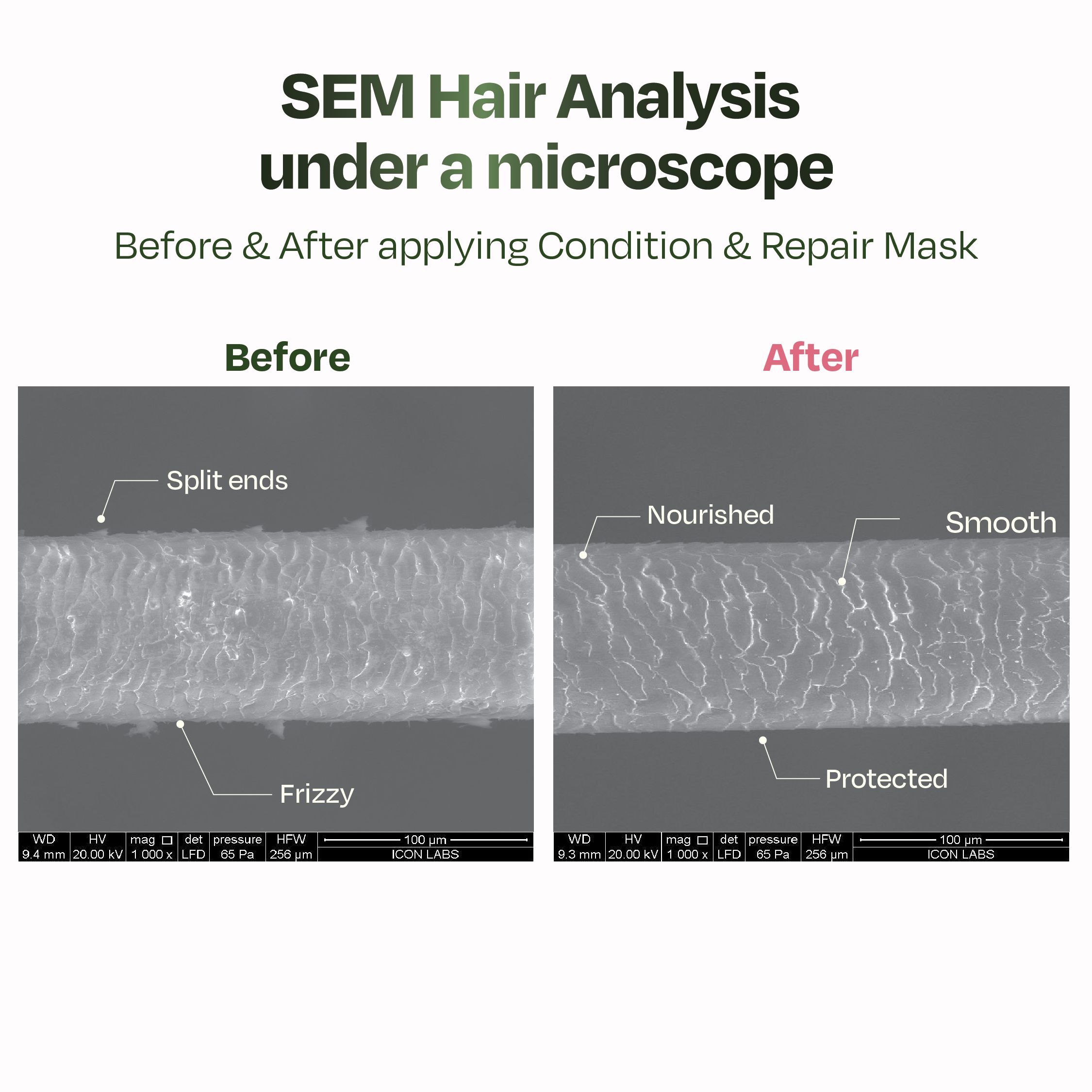 Marshmallow Root Condition & Repair Hair Mask