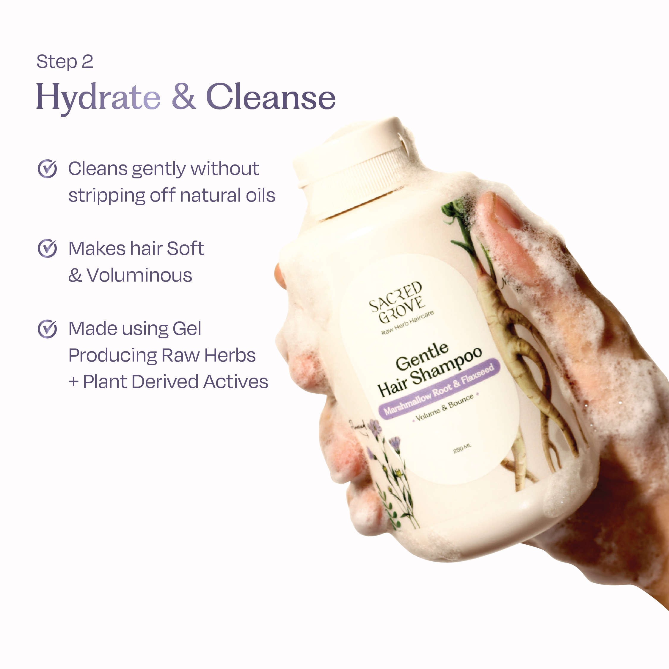 Condition Cleanse Repair