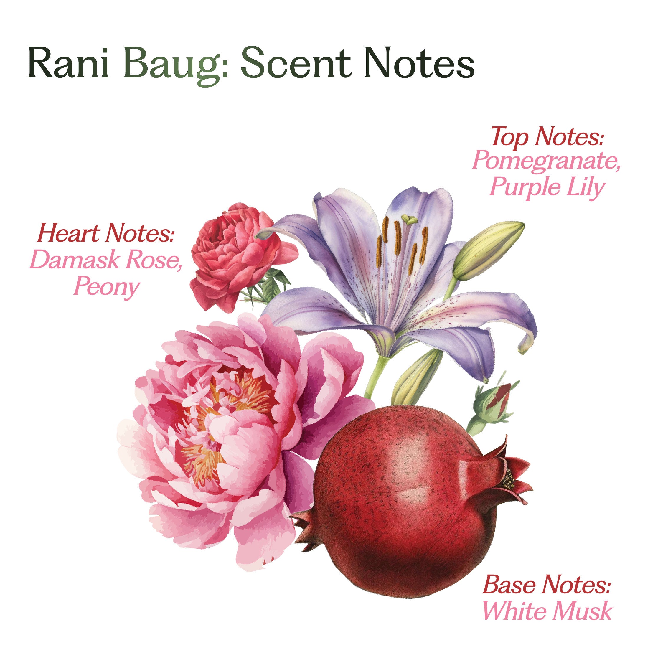 The Bloom Duo – Rani Baug & Wildflower Hair Perfume Combo