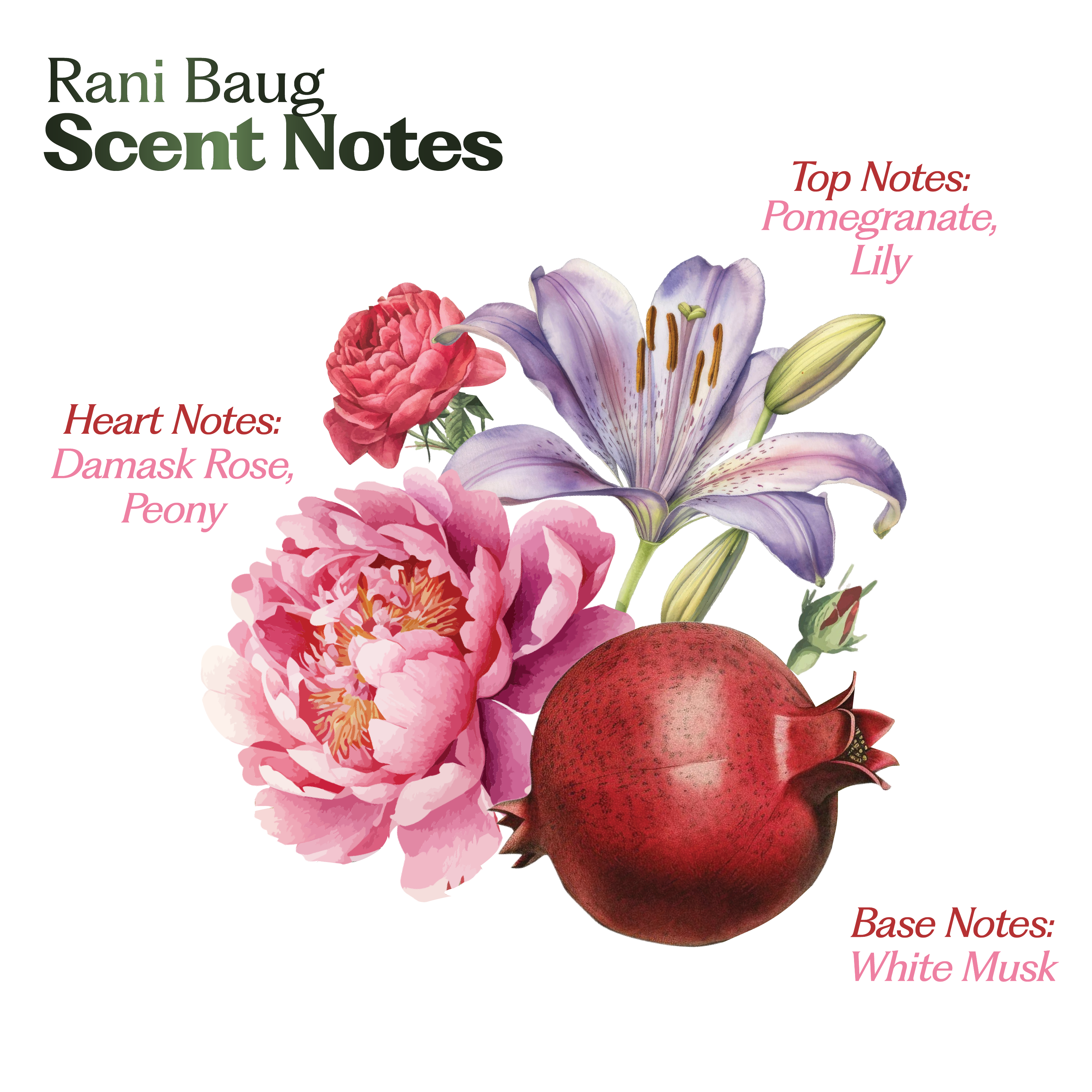 Bloom Duo: Rani Baug & Wildflower Hair Perfume Set