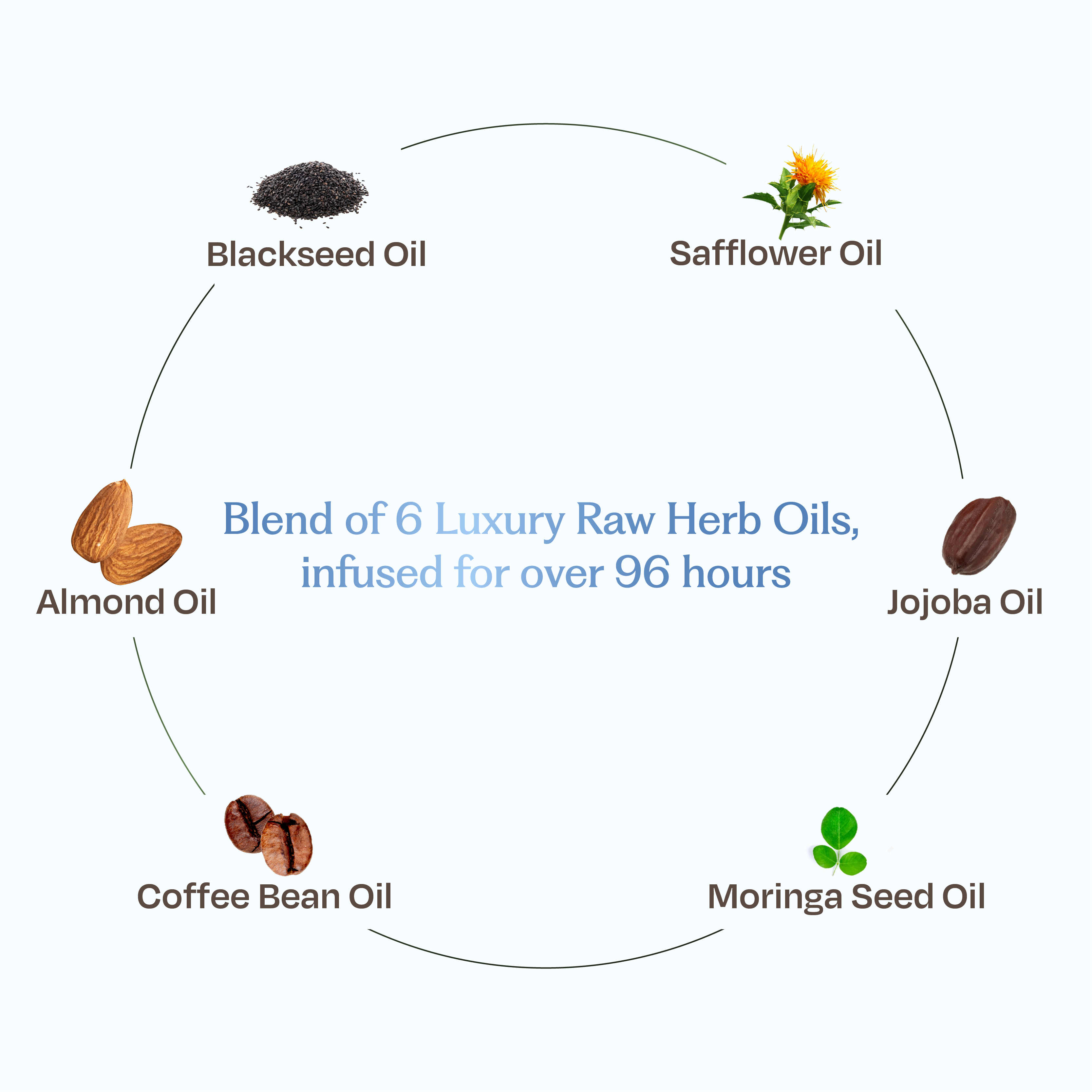 Coffee Bean & Blackseed Nourishing Hair Oil
