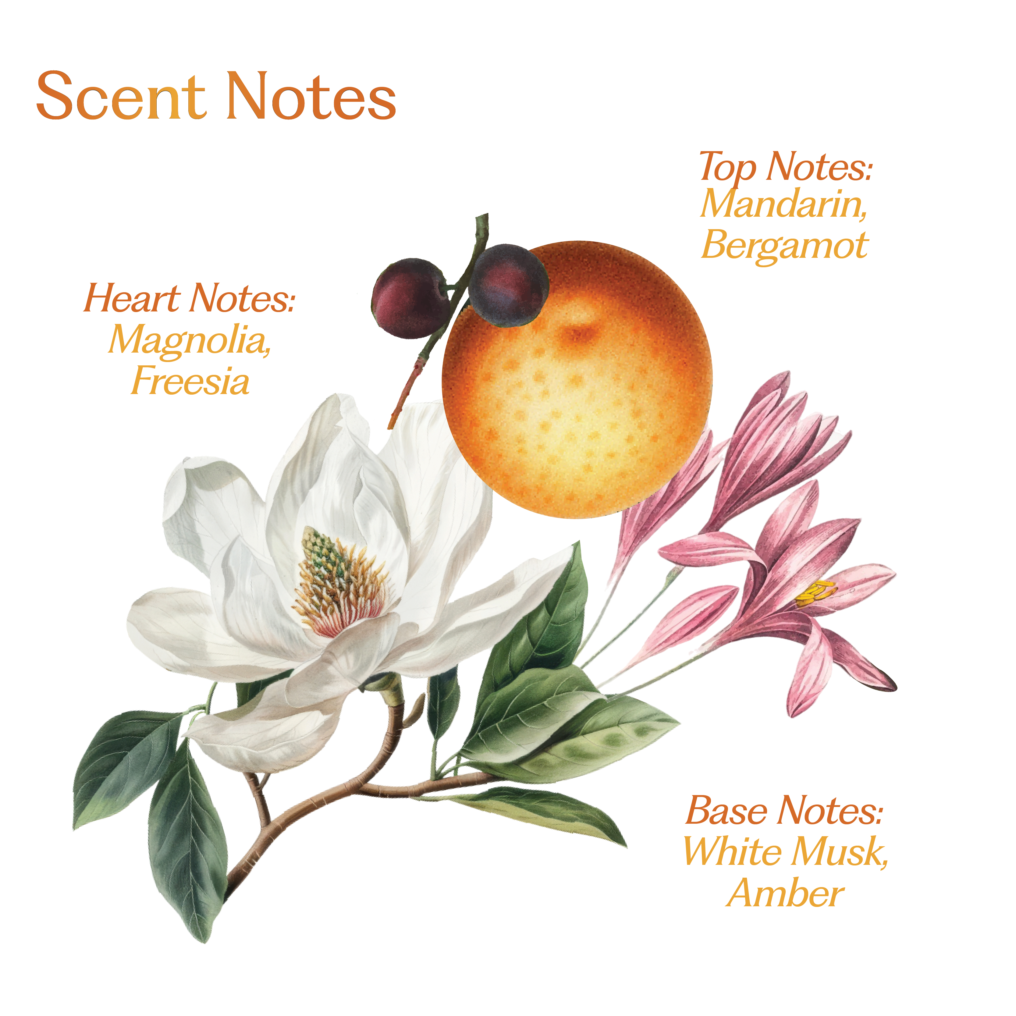 Wildflower: Hair Perfume For Women