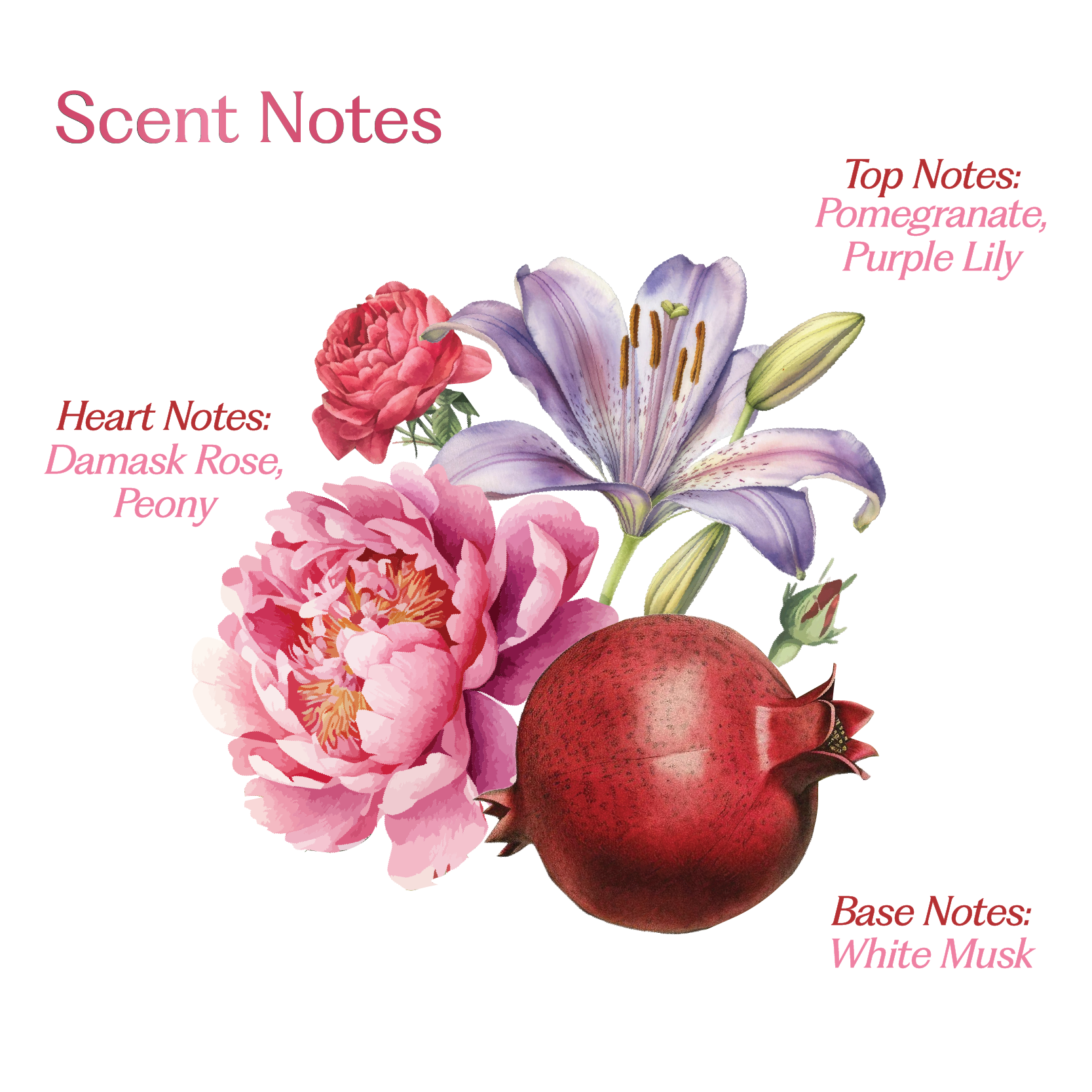 Rani Baug: Hair Perfume For Women