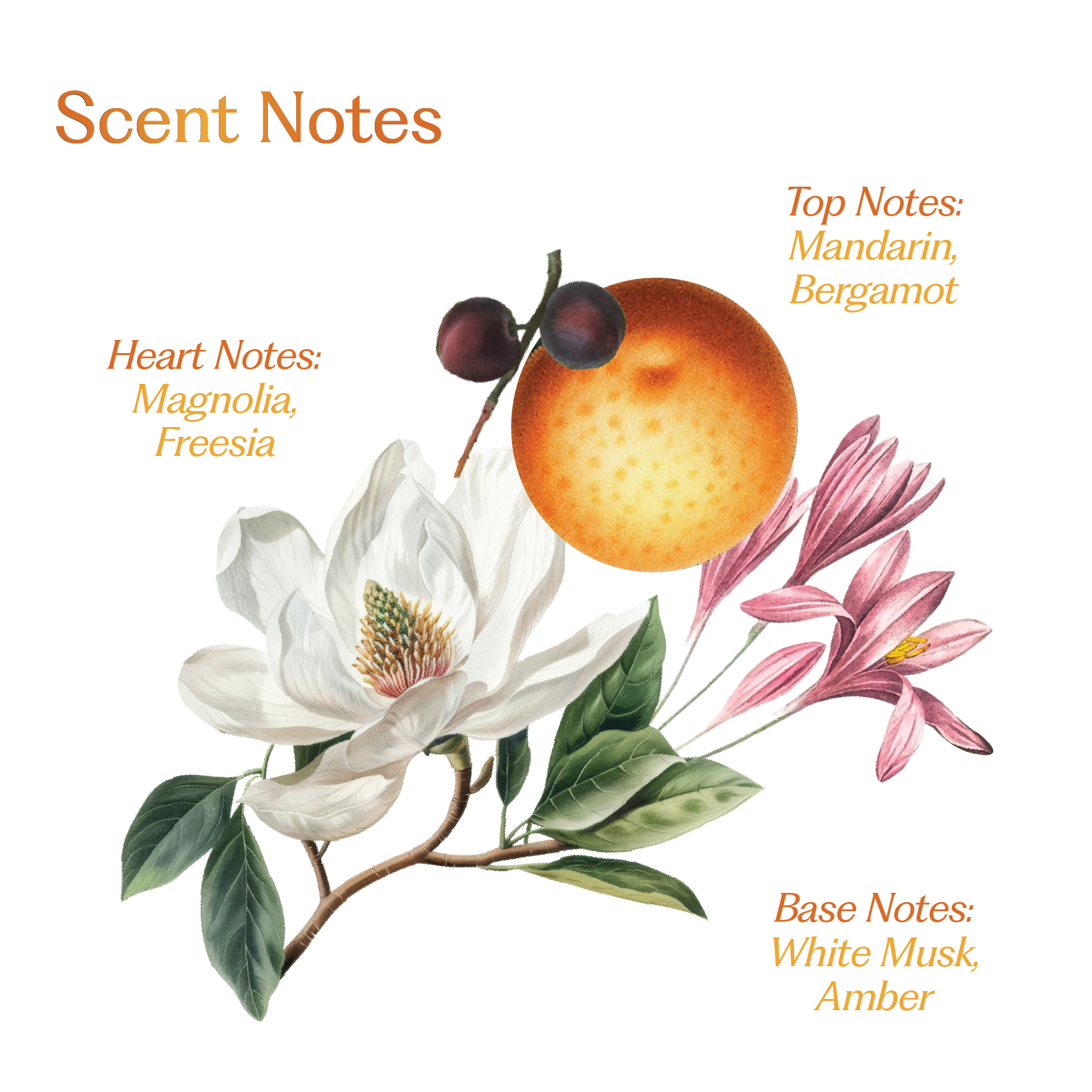 Wildflower: Hair Perfume For Women