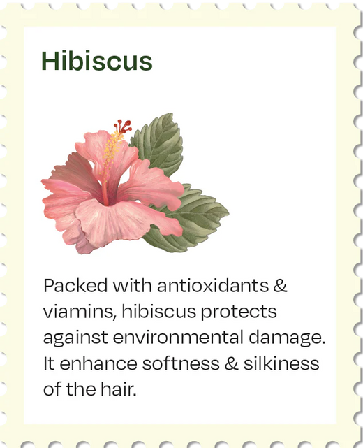 Hibiscus