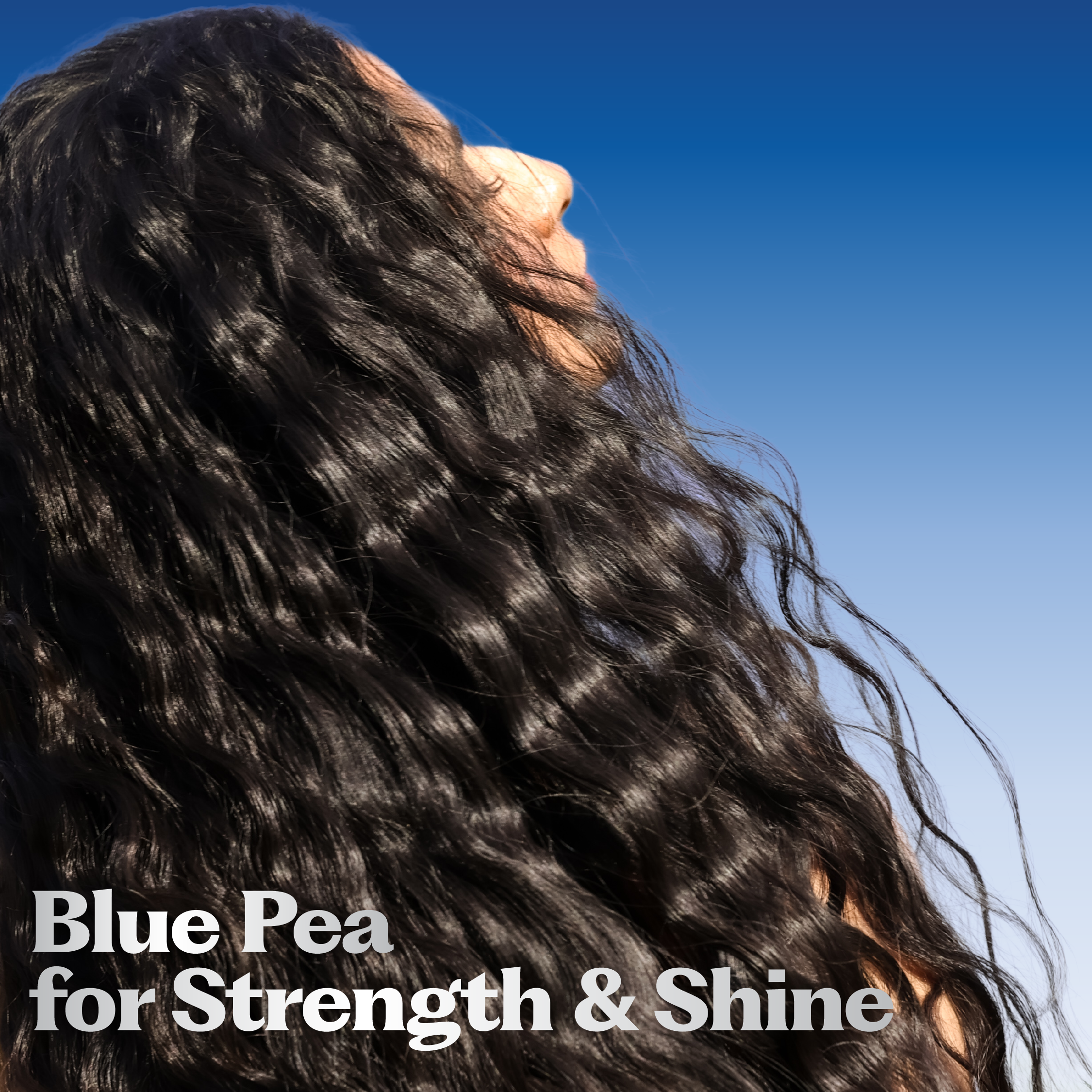 Blue Pea Strength & Shine Routine