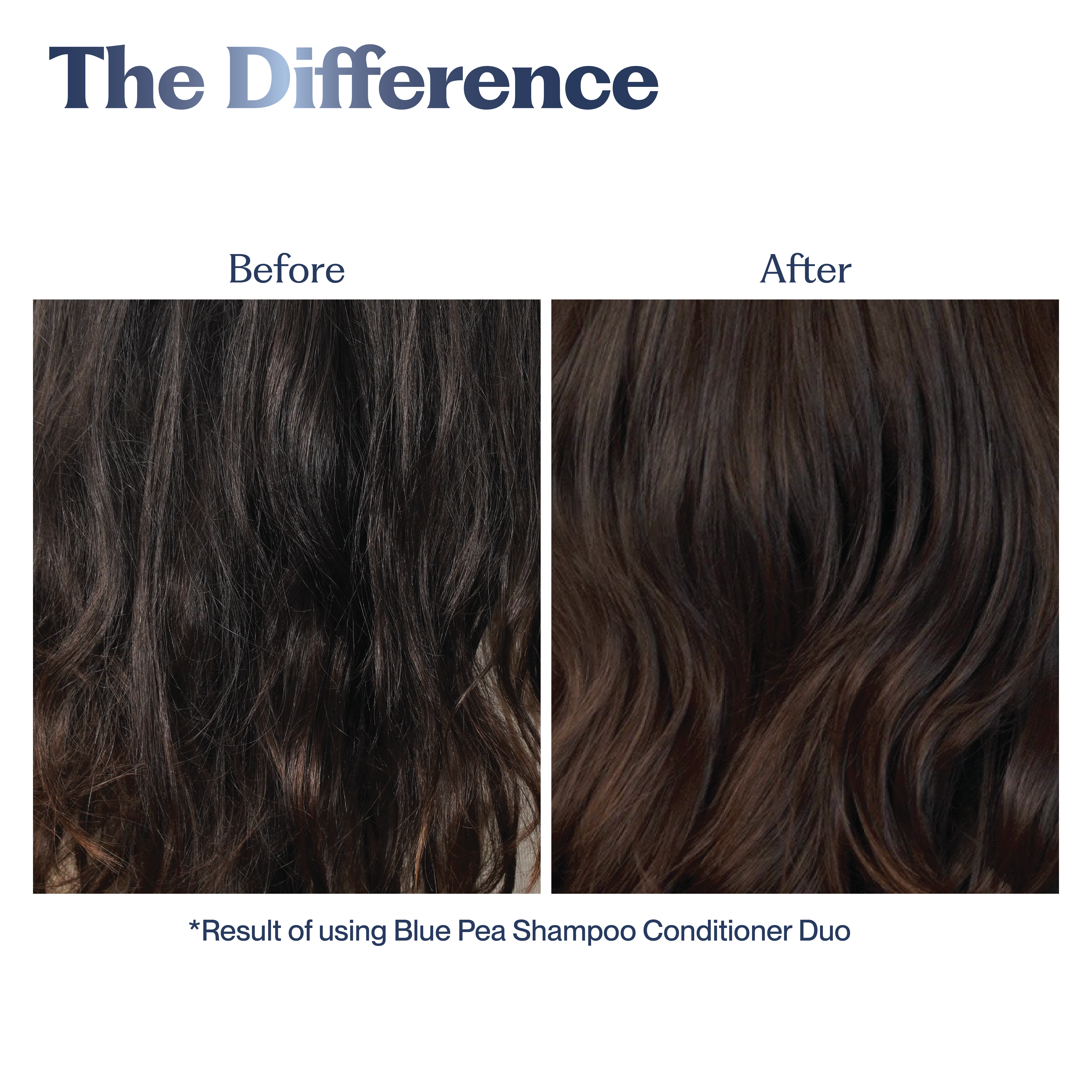 Blue Pea  Strengthening Shampoo