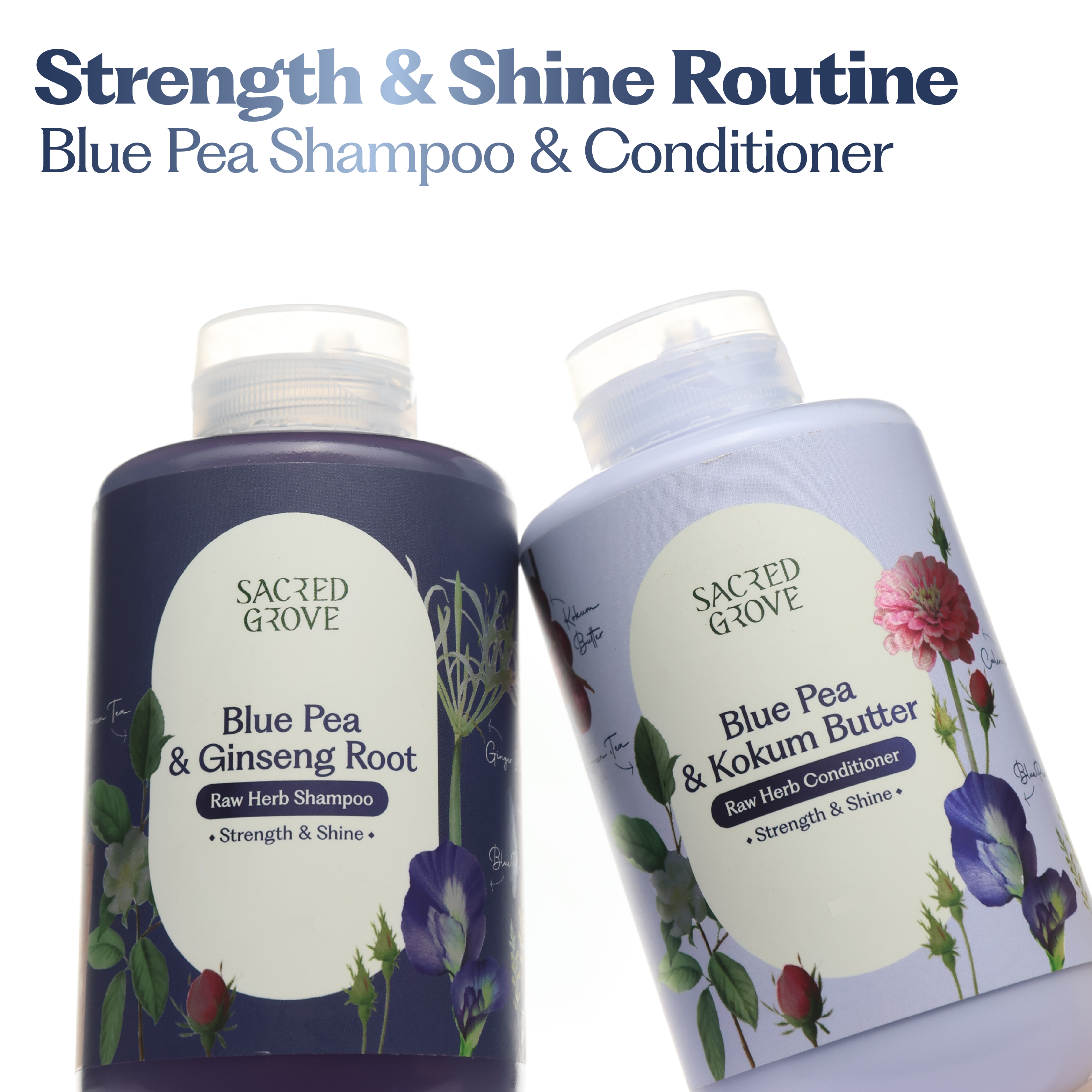 Blue Pea  Strengthening Shampoo