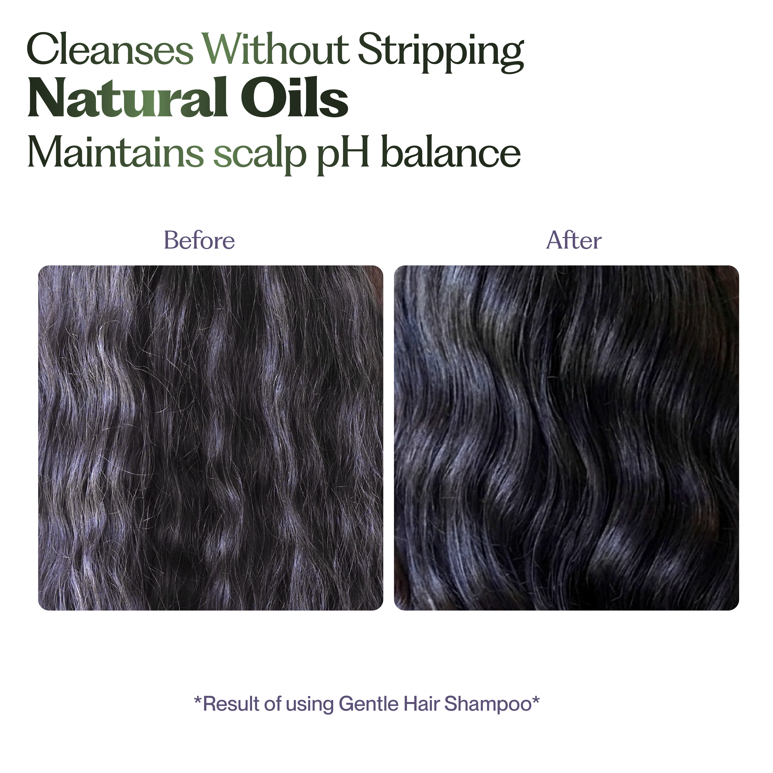 Gentle Hair Shampoo (Soft Lather)