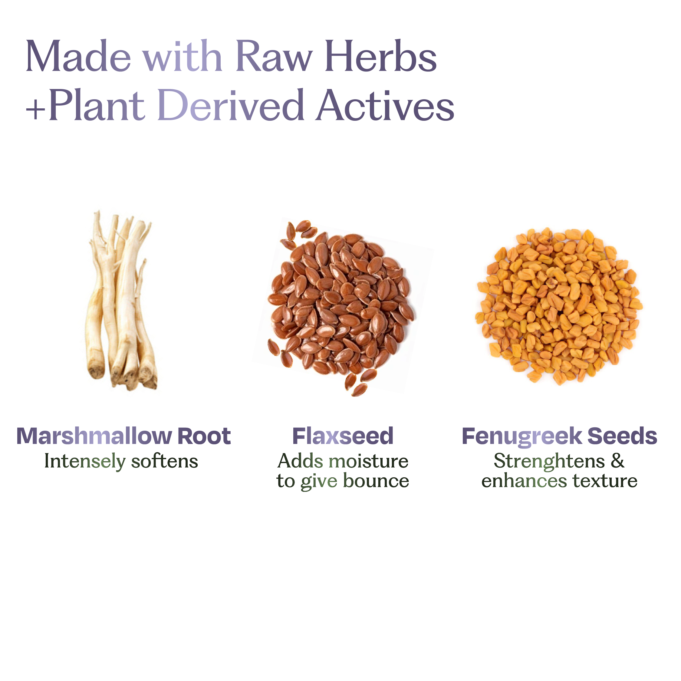 Marshmallow Root Gentle Hair Shampoo