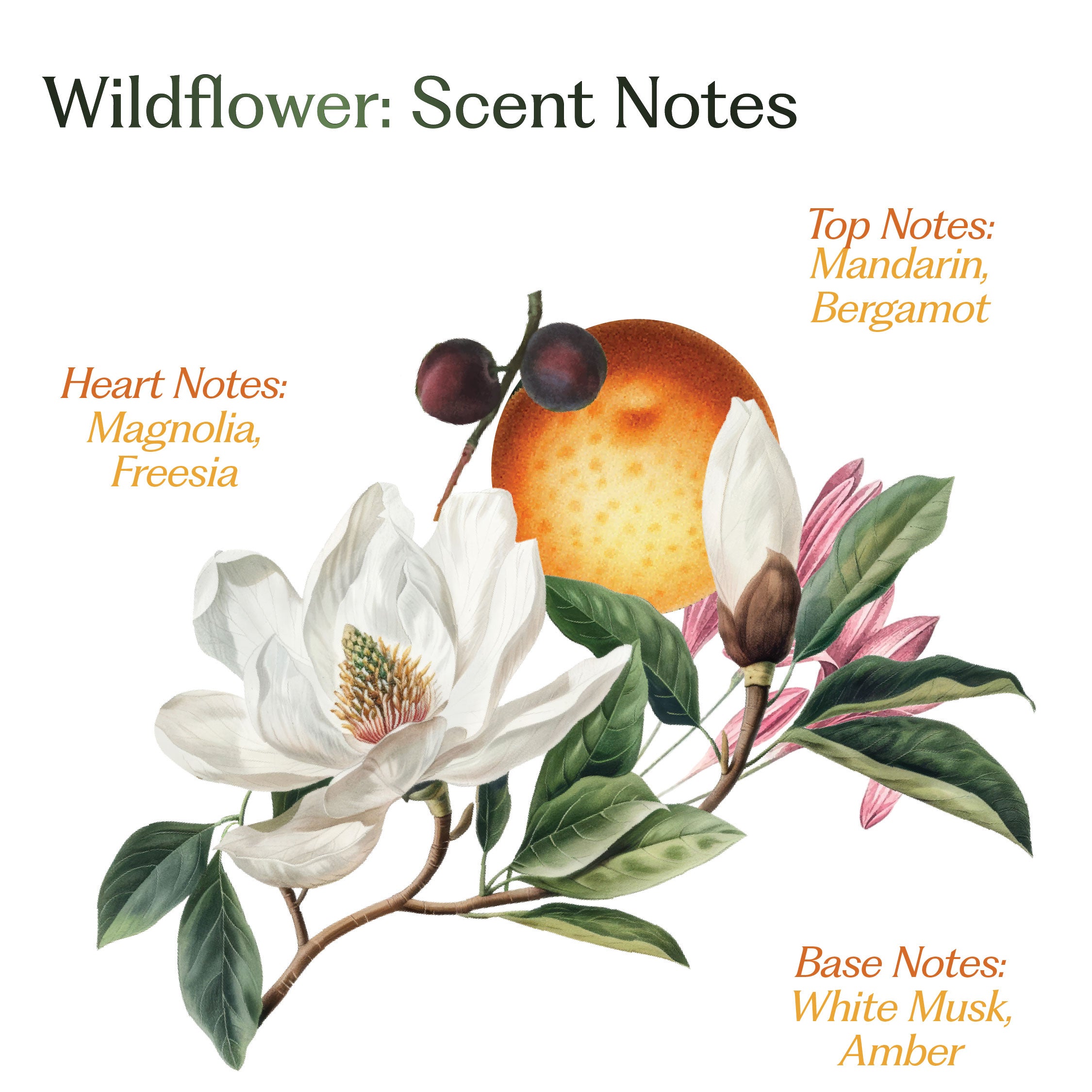 The Bloom Duo – Rani Baug & Wildflower Hair Perfume Combo
