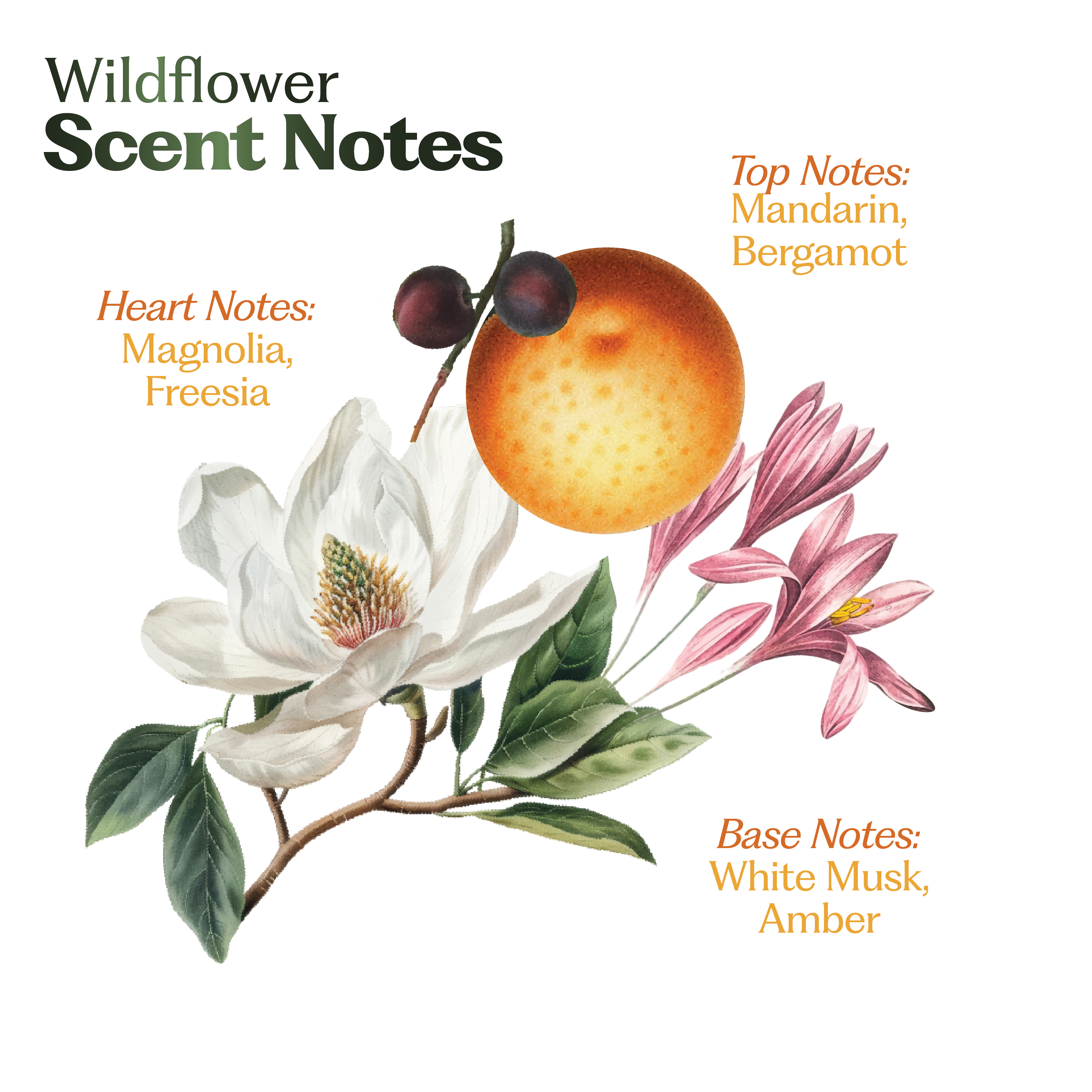 Bloom Duo: Rani Baug & Wildflower Hair Perfume Set