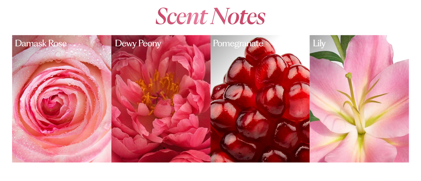 Rani Baug Hair Perfume banner 1