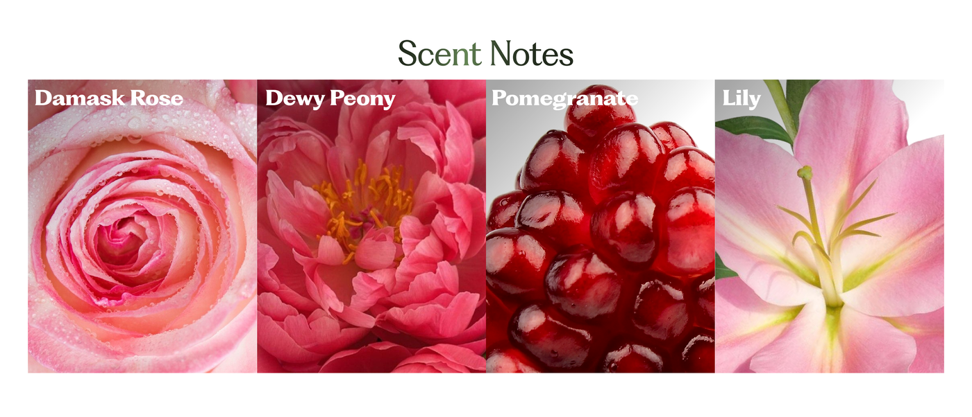 Rani Baug Hair Perfume banner 1
