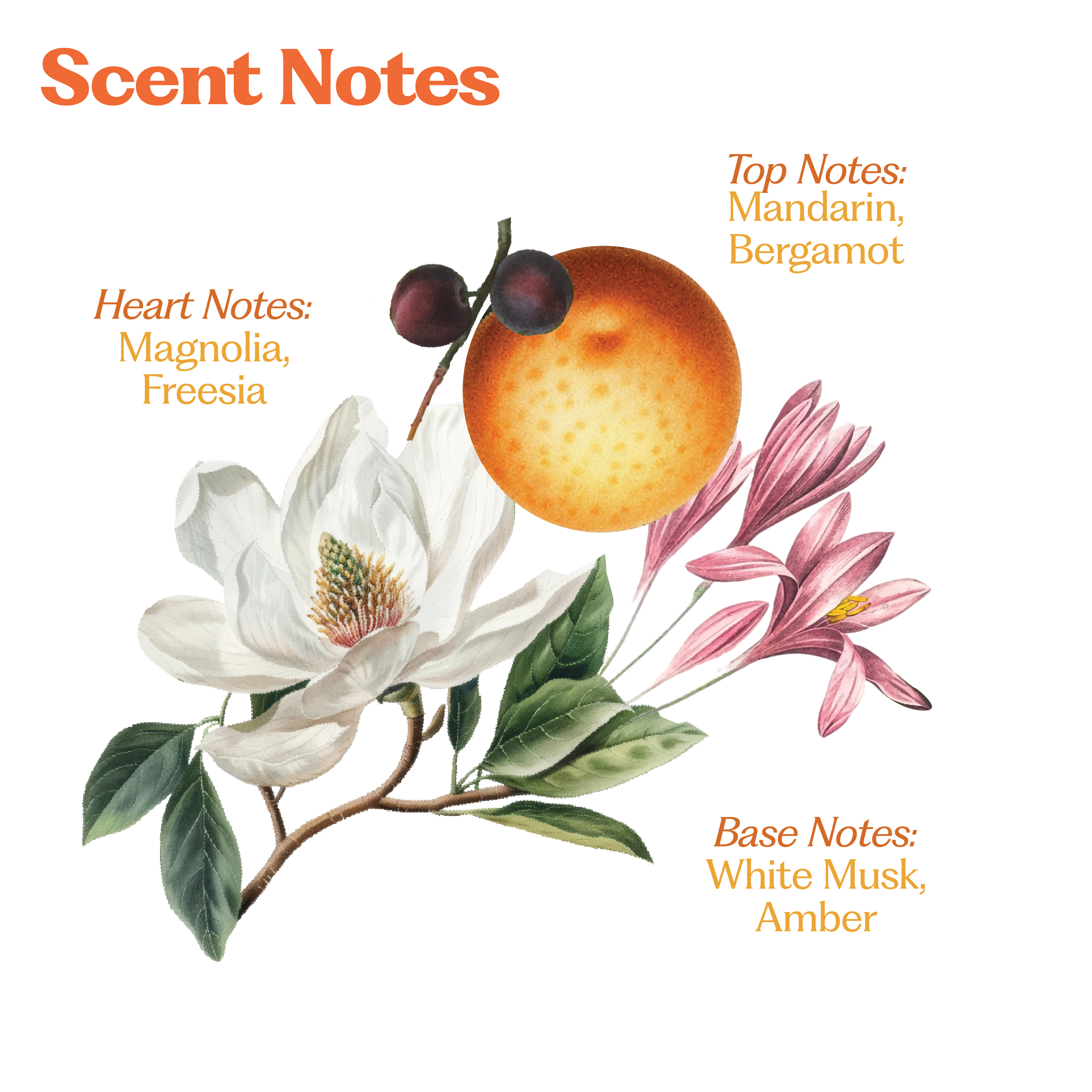 Wildflower Hair Perfume B1G1