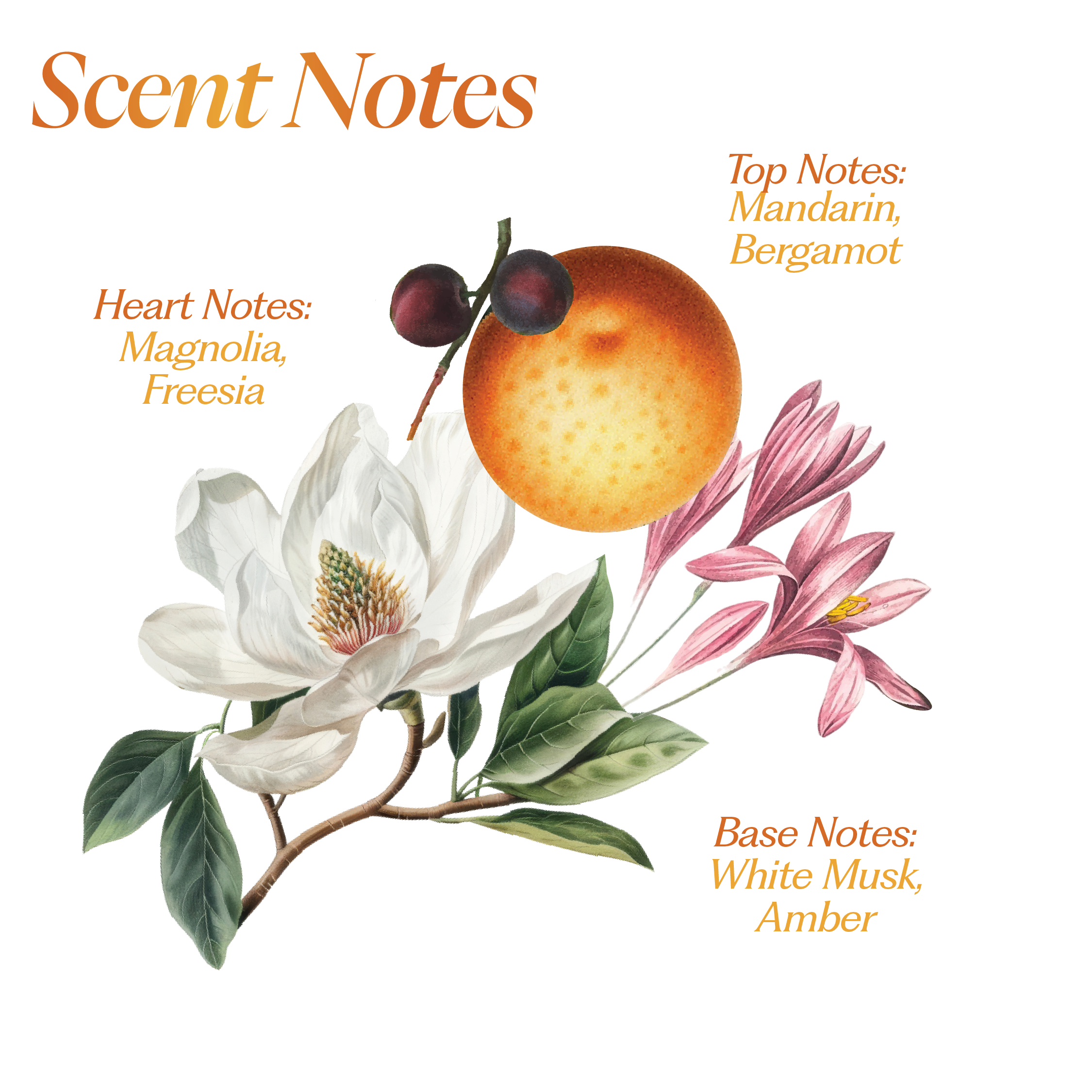 Wildflower Hair Perfume
