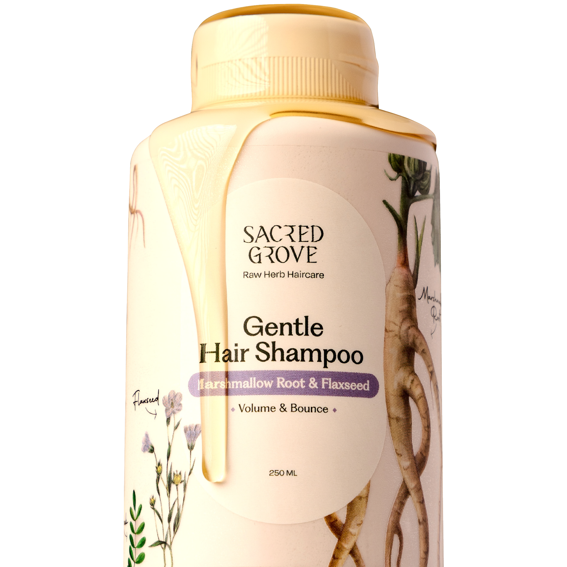 Gentle Hair Shampoo (Lathering)