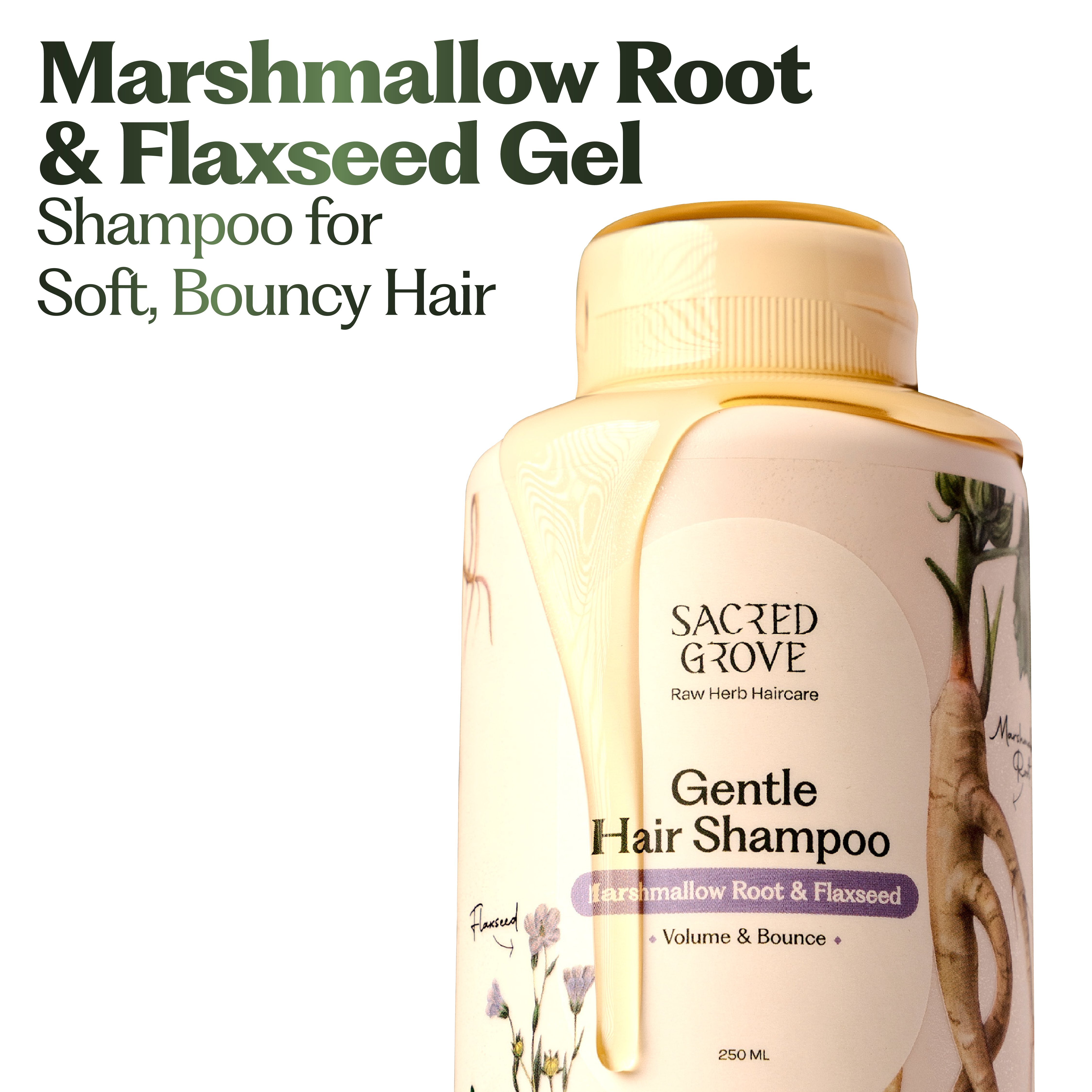 Gentle Hair Shampoo (Lathering)