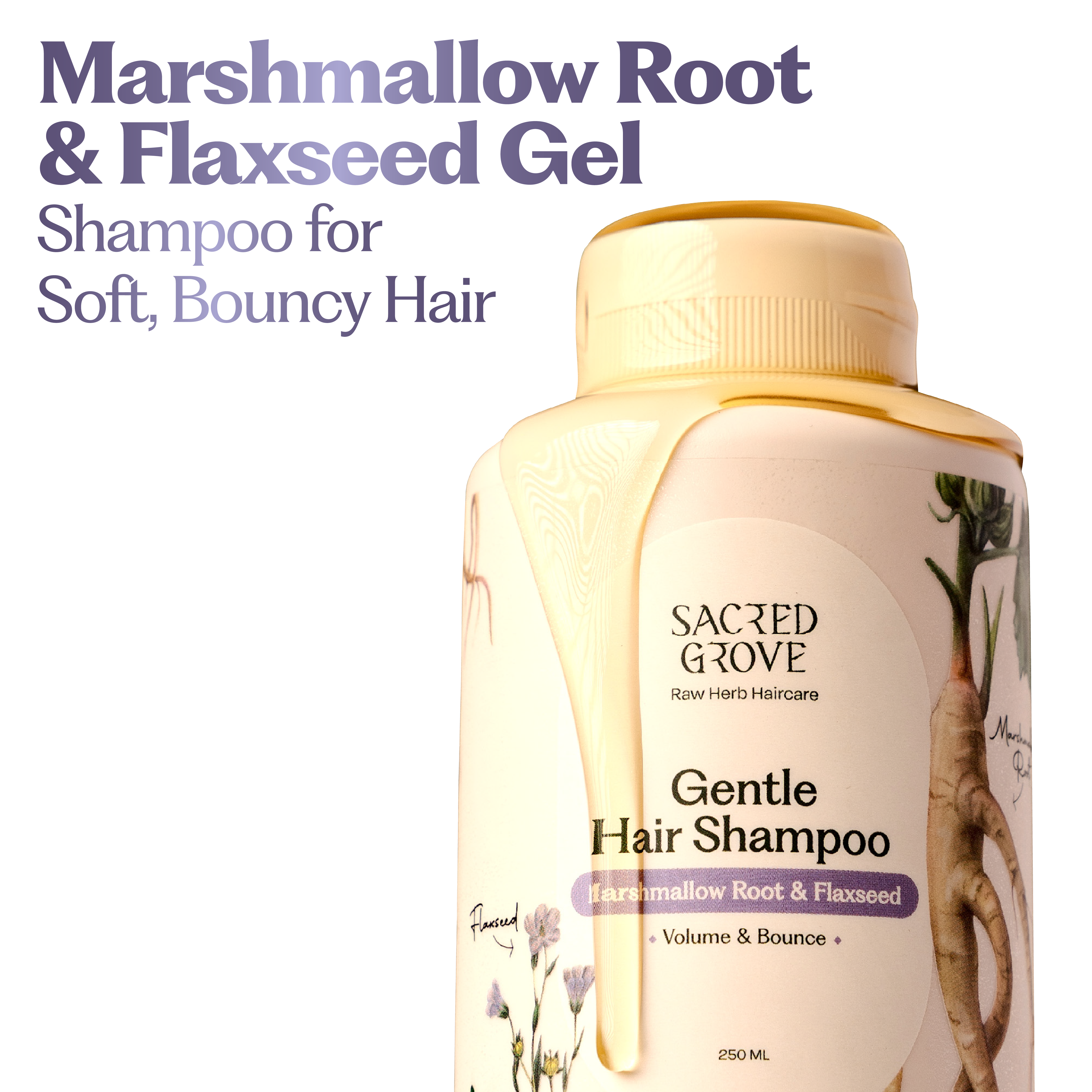 Gentle Hair Shampoo (Lathering)