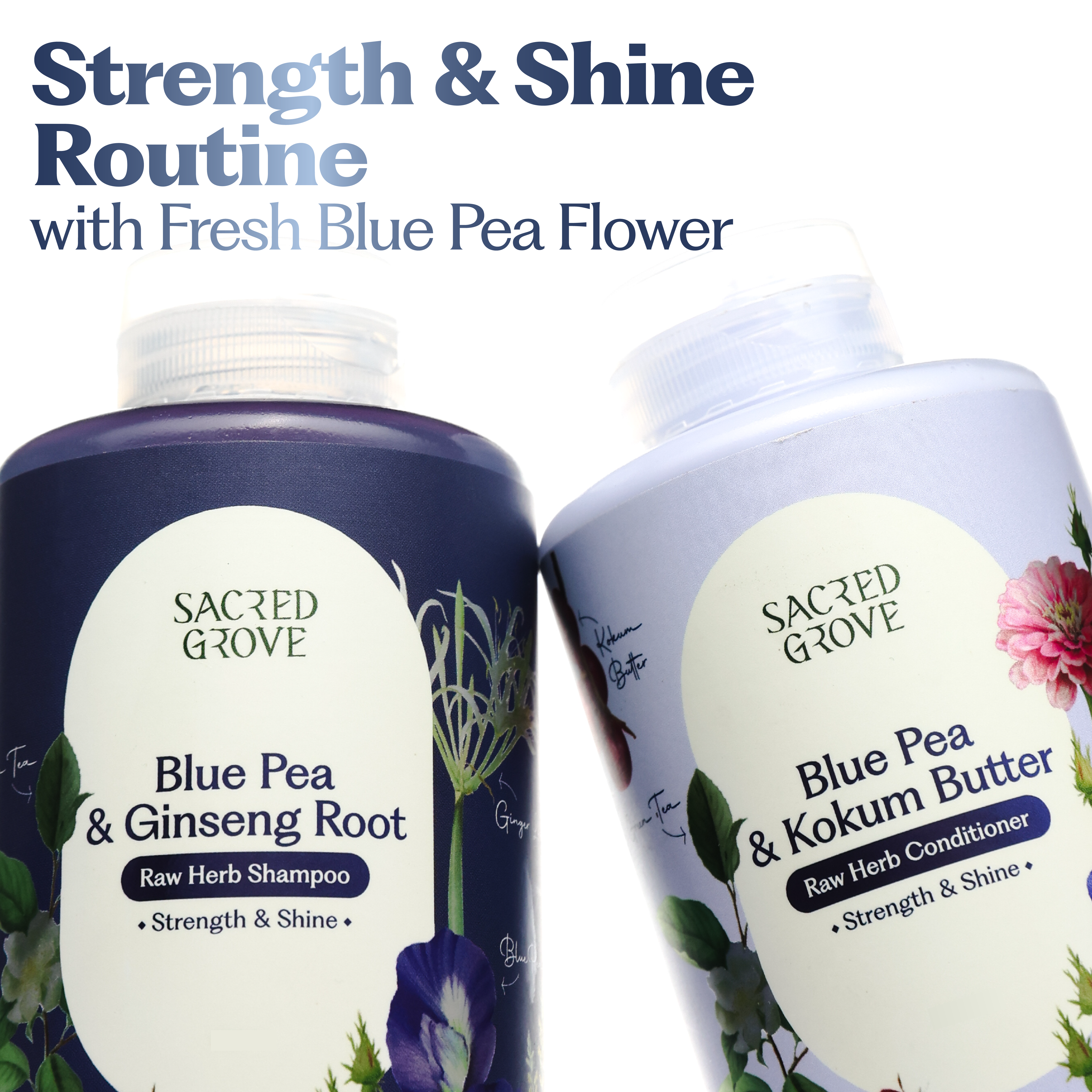 Blue Pea Strength & Shine Routine