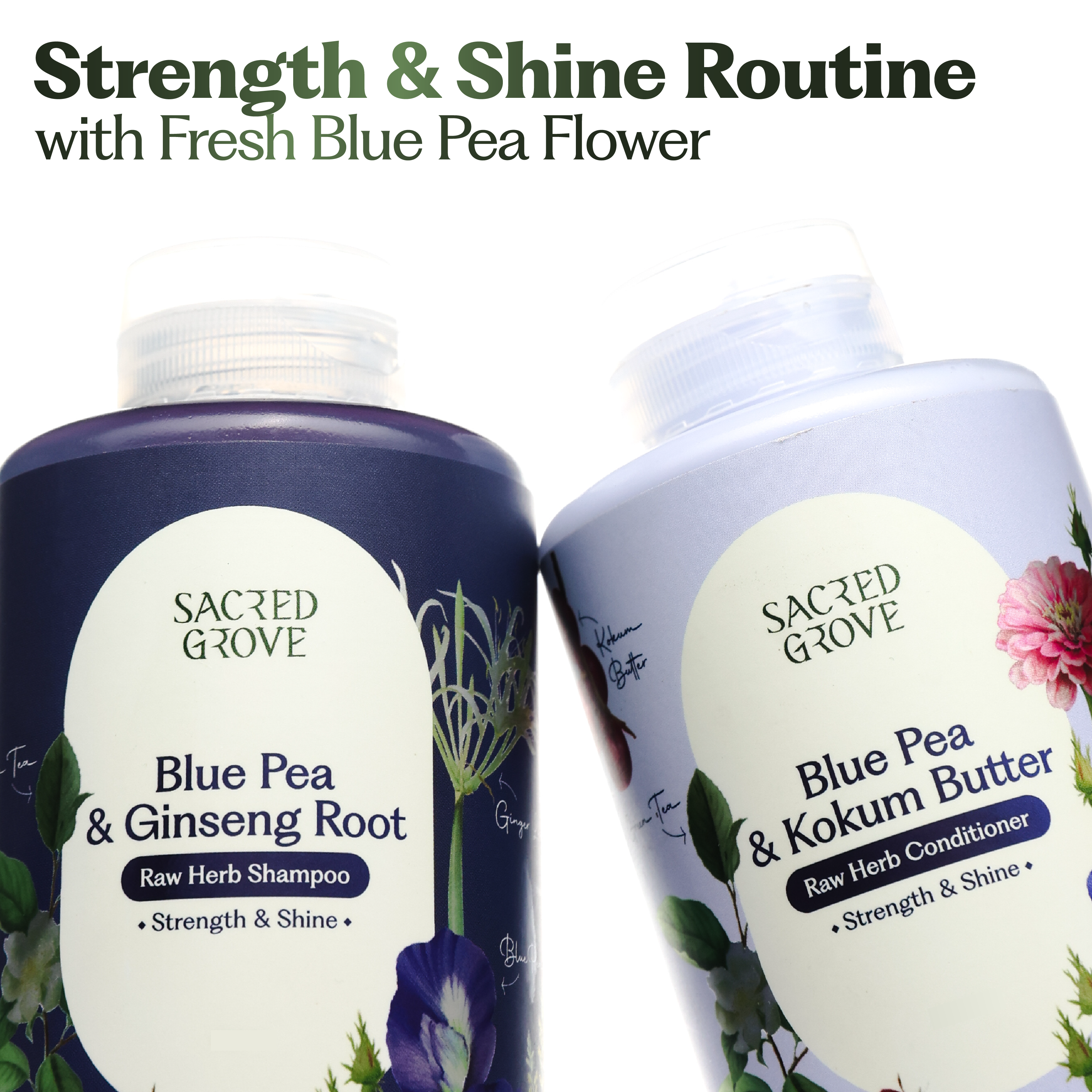 Blue Pea Strength & Shine Routine