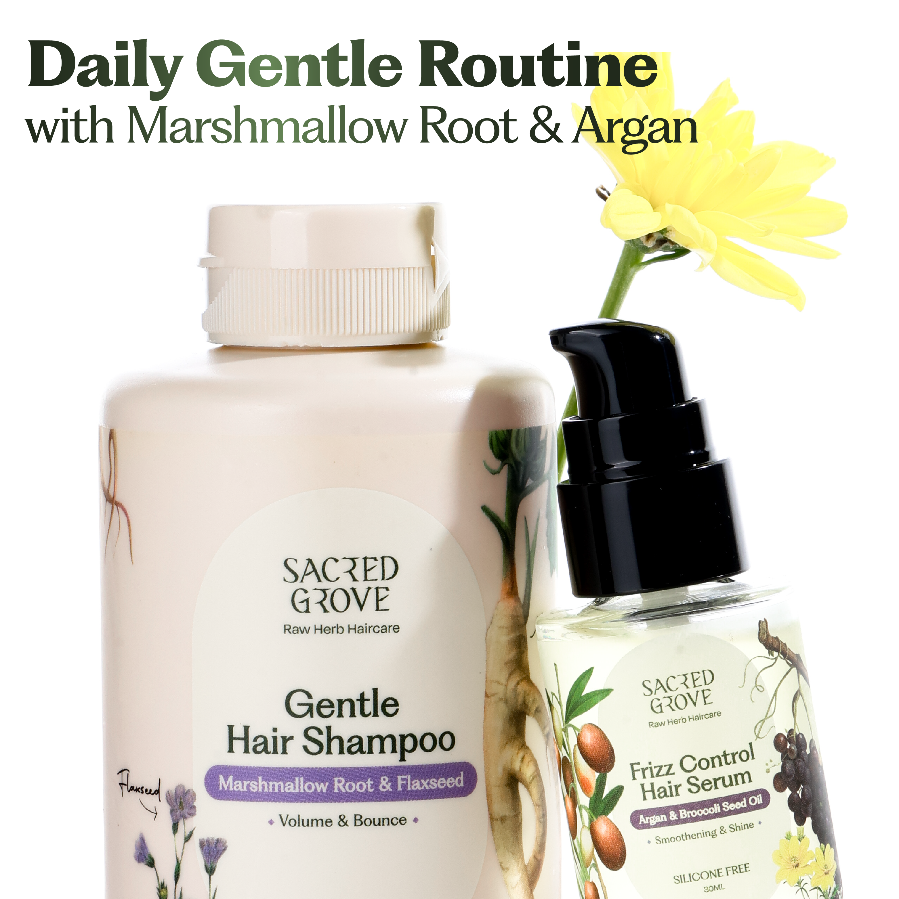 Daily Gentle Routine for Men