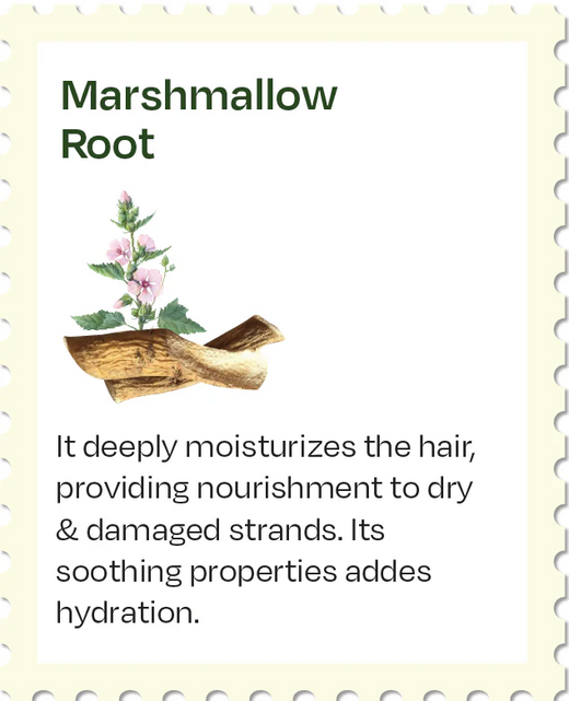 Marshmallow Root